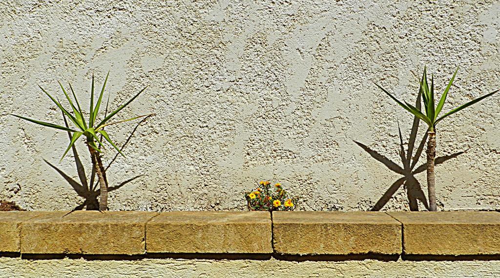 The White Rocks Villa Lido di Noto ภายนอก รูปภาพ